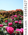 Kawarakan rose garden 64945427
