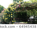 Kawarakan rose garden 64945438