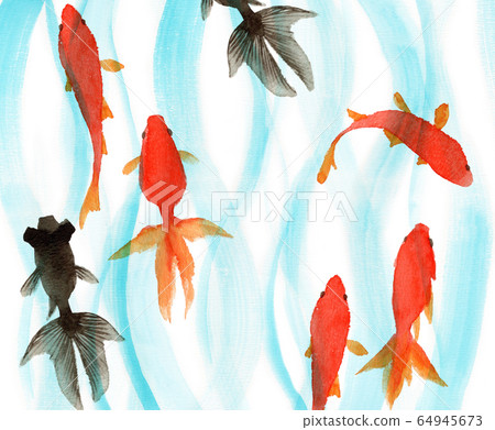 金魚在水彩中游泳 金魚在水彩中游泳 64945673