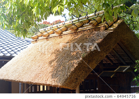 桂帝國別墅中門2號的茅草屋頂 64945716
