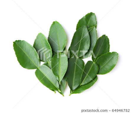 bergamot or Kaffir lime leaf on white background 64946782