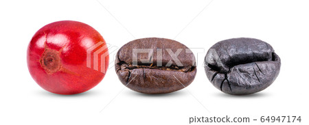 coffee beans on white background coffee beans on white background 64947174