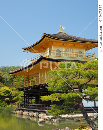 新鮮的綠色Kinkaku-ji 新鮮的綠色Kinkaku-ji 64947275