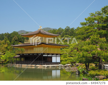 Fresh green Kinkaku-ji Fresh green Kinkaku-ji 64947278