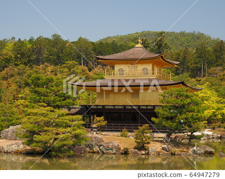Fresh green Kinkaku-ji Fresh green Kinkaku-ji 64947279
