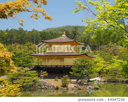 Fresh green Kinkaku-ji Fresh green Kinkaku-ji 64947280