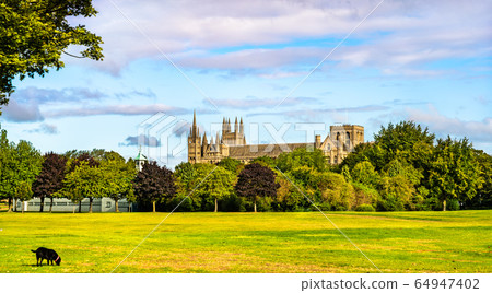 View of Peterborough Cathedral in England View of Peterborough Cathedral in England 64947402