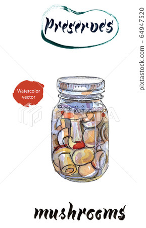 Homemade can. Glass jar of preserved mushrooms, hand drawn watercolor illustration 64947520