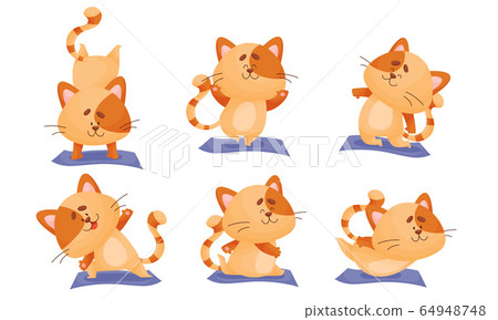 Cartoon Cat with Striped Tail Doing Yoga on Blue Mat Vector Set 64948748