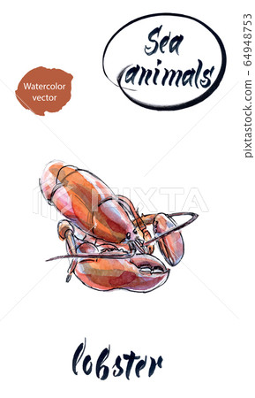 Red lobster, watercolor hand drawn illustration 64948753