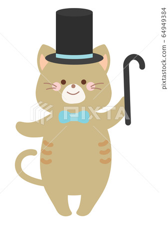 Magician magician cat 64949384