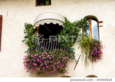Balcony and window with pink geraniums - Feltre Veneto Italy 64949826