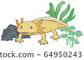 Illustration of woopar oper (yellow color) and aquatic plants 64950243