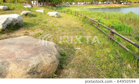 Spring stepping bridge 64950594