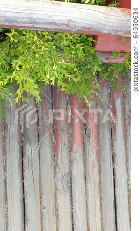 Green under the red fence 64950634