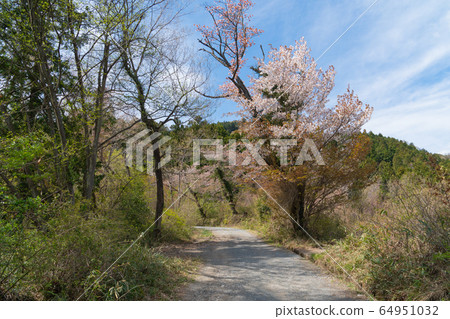 Mt. Hokuto Mt. Hokuto 64951032