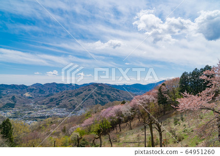 Hohozan near the summit station Hohozan near the summit station 64951260