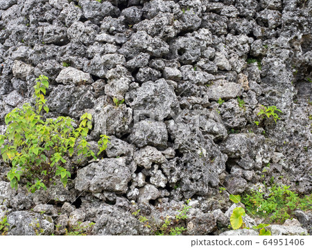 Okinawa, a tropical paradise reminiscent of the Middle Ages Okinawa, a tropical paradise reminiscent of the Middle Ages 64951406