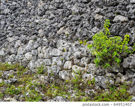 Okinawa, a tropical paradise reminiscent of the Middle Ages 64951407