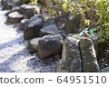 公園麻雀001 64951510
