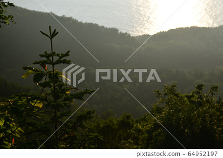 世界遺產知床森林被夕陽照亮 世界遺產知床森林被夕陽照亮 64952197