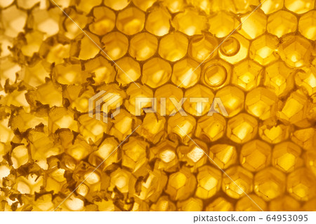 Close-up Honeycomb Beehive Nectar Bee 64953095