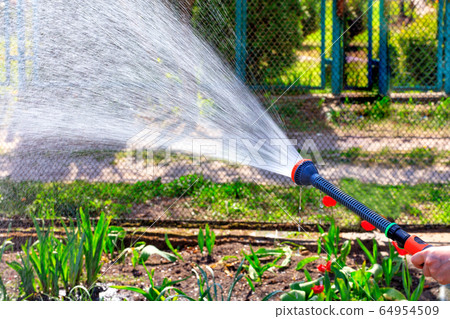 The gardener holds a garden shower and pours water 64954509