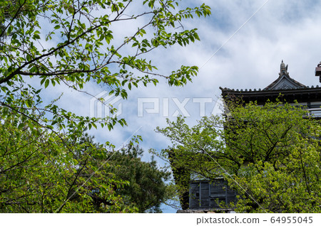 福井縣丸岡城堡（日本現存最古老的城堡塔樓）2020年5月上旬 64955045