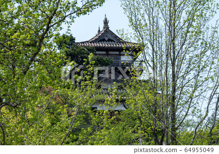 福井縣丸岡城堡(日本現存最古老的城堡塔樓)2020年5月上旬 福井縣丸岡城堡(日本現存最古老的城堡塔樓)2020年5月上旬 64955049