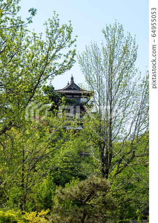 Fukui Prefecture Maruoka Castle (the oldest existing castle tower in Japan) Early May 2020 64955053