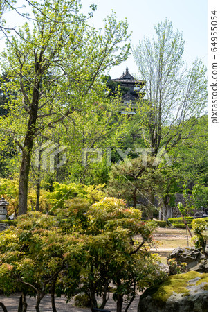 Fukui Prefecture Maruoka Castle (the oldest existing castle tower in Japan) Early May 2020 64955054