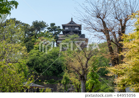 福井縣丸岡城堡(日本現存最古老的城堡塔樓)2020年5月上旬 福井縣丸岡城堡(日本現存最古老的城堡塔樓)2020年5月上旬 64955056