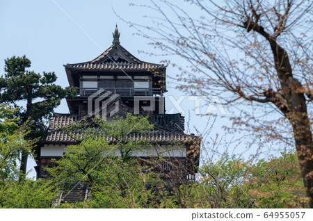 福井縣丸岡城堡(日本現存最古老的城堡塔樓)2020年5月上旬 福井縣丸岡城堡(日本現存最古老的城堡塔樓)2020年5月上旬 64955057