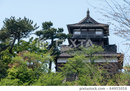 福井縣丸岡城堡（日本現存最古老的城堡塔樓）2020年5月上旬 64955058