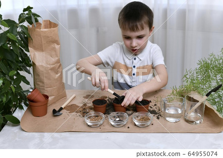 A child is busy planting seeds in pots. A rake boy prepares the soil in one of the three pots standing in the center. 64955074