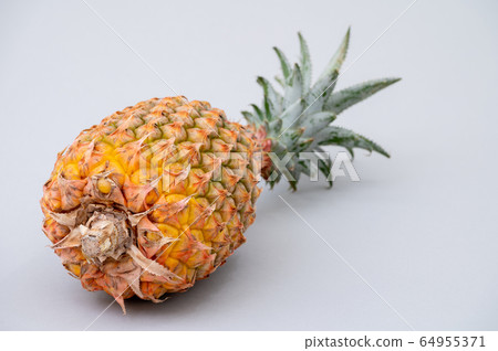 沖繩菠蘿菠蘿石垣島 64955371