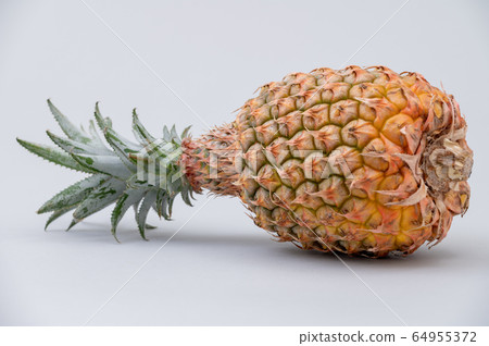 沖繩菠蘿菠蘿石垣島 64955372