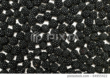 A textured bright background made from a layer of 64955422