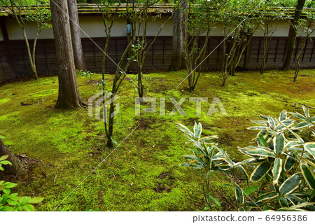 Wakamatsu Castle Tea Room Wakamatsu Castle Tea Room 64956386