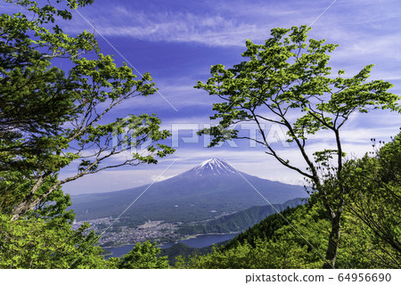 （山梨縣）新鮮的綠色神道通行證眺望富士山 64956690