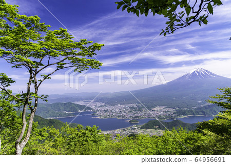 （山梨縣）新鮮的綠色神道通行證眺望富士山 64956691