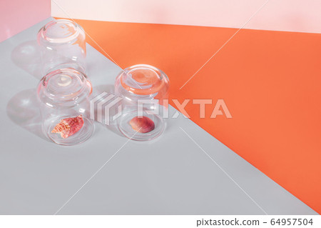 Quarantine summer vacation concept. Shell under a glass cap on a geometric two-tone background. 64957504