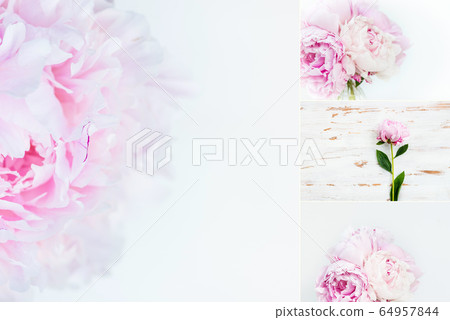 Summer peonies photo collage 64957844