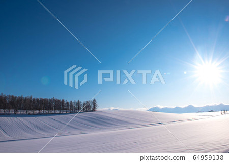 Biei's nameless winter scenery Biei's nameless winter scenery 64959138