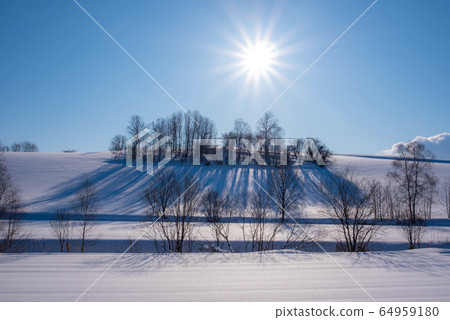 Biei's nameless winter scenery 64959180