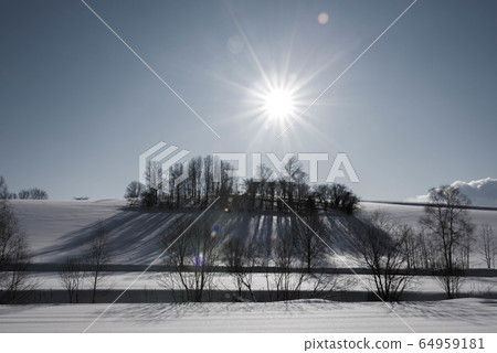 Biei's nameless winter scenery 64959181