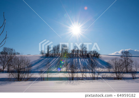 Biei's nameless winter scenery 64959182