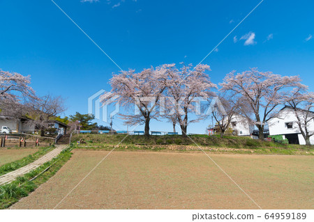 野山山公園（長ator） 64959189