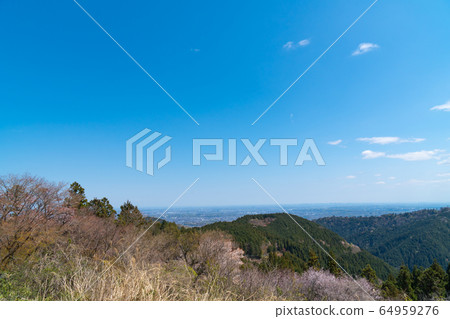 城山頂的景色(奧高尾) 城山頂的景色(奧高尾) 64959276