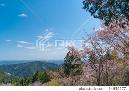 城山頂的景色(奧高尾) 城山頂的景色(奧高尾) 64959277